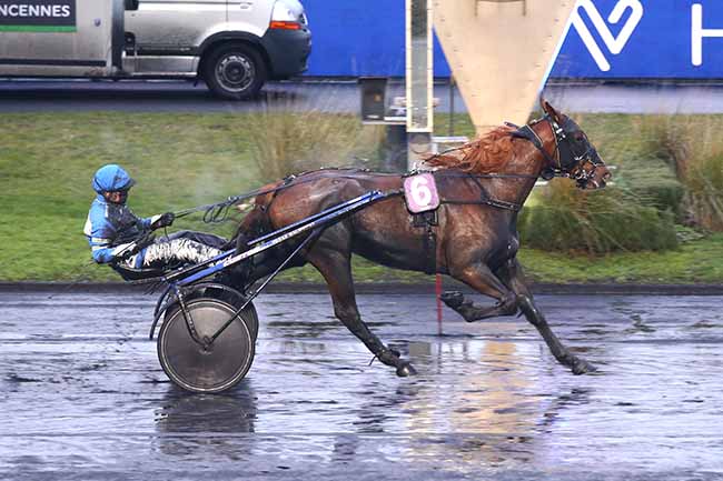 Photo d'arrivée de la course pmu PRIX DE MIRANDE à PARIS-VINCENNES le Dimanche 24 janvier 2021