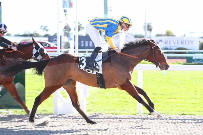 Photo d'arrivée de la course pmu PRIX DES ROMARINS à CAGNES-SUR-MER le Lundi 25 janvier 2021