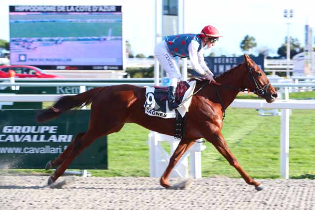 Photo d'arrivée de la course pmu PRIX DU ROUSSILLON à CAGNES-SUR-MER le Lundi 25 janvier 2021