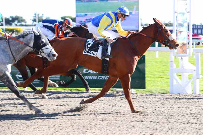 Photo d'arrivée de la course pmu PRIX DE LA CRAU à CAGNES-SUR-MER le Mardi 26 janvier 2021