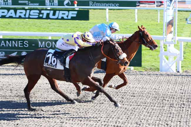 Photo d'arrivée de la course pmu PRIX DE MARSEILLE à CAGNES-SUR-MER le Mardi 26 janvier 2021