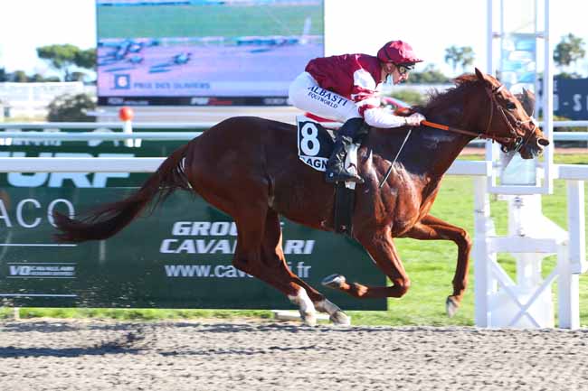 Photo d'arrivée de la course pmu PRIX DES OLIVIERS à CAGNES-SUR-MER le Mardi 26 janvier 2021