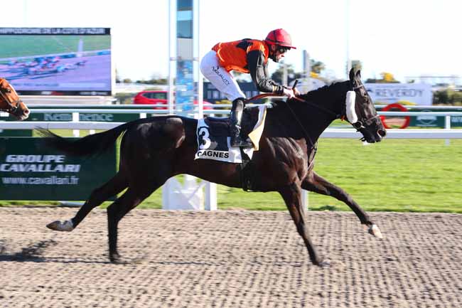 Photo d'arrivée de la course pmu PRIX YVES BACHELIER à CAGNES-SUR-MER le Mardi 26 janvier 2021