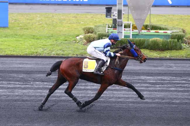 Photo d'arrivée de la course pmu PRIX DE CHATEAUGIRON à PARIS-VINCENNES le Mardi 26 janvier 2021