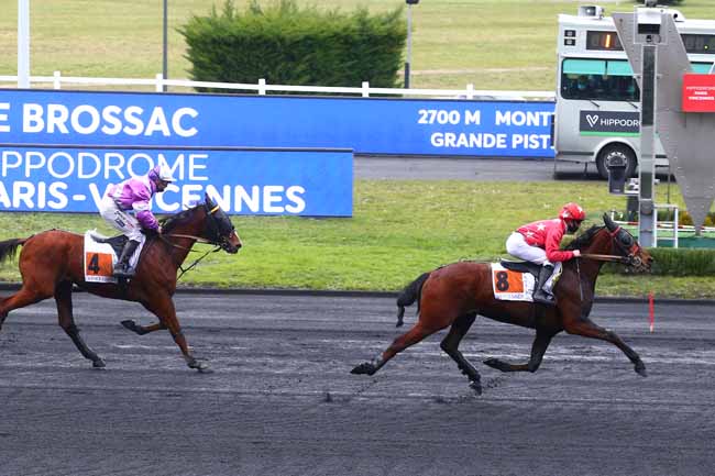 Photo d'arrivée de la course pmu PRIX DE BROSSAC à PARIS-VINCENNES le Mardi 26 janvier 2021