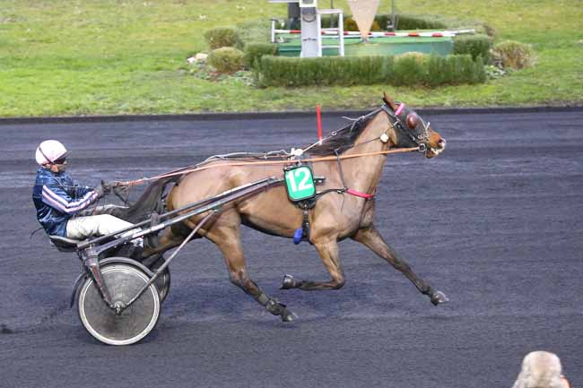 Photo d'arrivée de la course pmu PRIX DE FALAISE à PARIS-VINCENNES le Mardi 26 janvier 2021