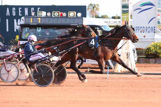 Photo d'arrivée de la course pmu PRIX TIGRE ROYAL à CAGNES-SUR-MER le Mercredi 27 janvier 2021