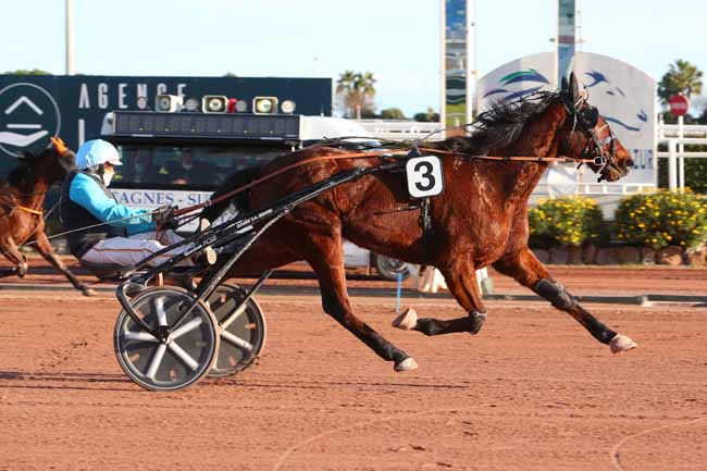 Photo d'arrivée de la course pmu PRIX HOUSTON LAUKKO à CAGNES-SUR-MER le Mercredi 27 janvier 2021