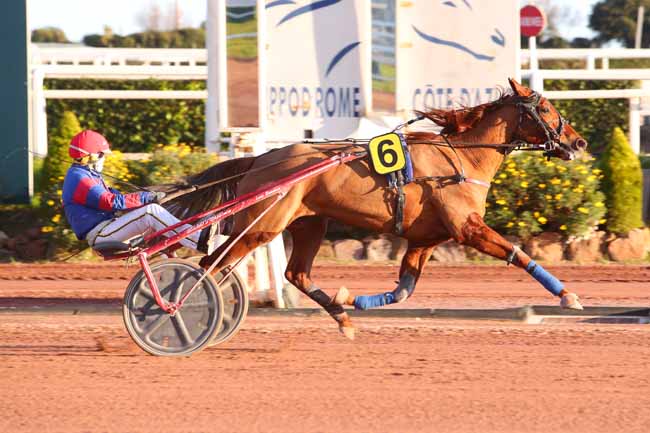 Photo d'arrivée de la course pmu PRIX DES ANCOLIES à CAGNES-SUR-MER le Mercredi 27 janvier 2021