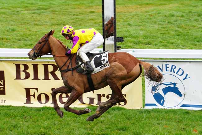 Photo d'arrivée de la course pmu PRIX LOUIS-ALEXANDRE SERS à PAU le Vendredi 29 janvier 2021