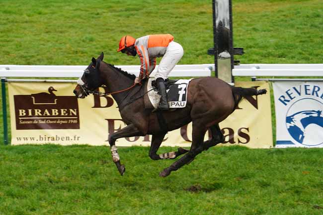 Photo d'arrivée de la course pmu PRIX FERDINANT RIANT à PAU le Vendredi 29 janvier 2021