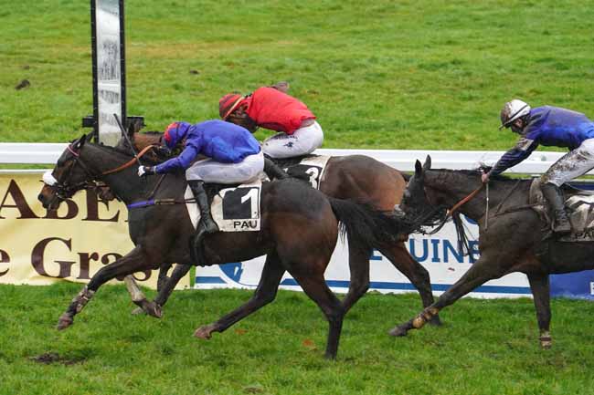 Photo d'arrivée de la course pmu PRIX RENE CRAMAIL à PAU le Vendredi 29 janvier 2021