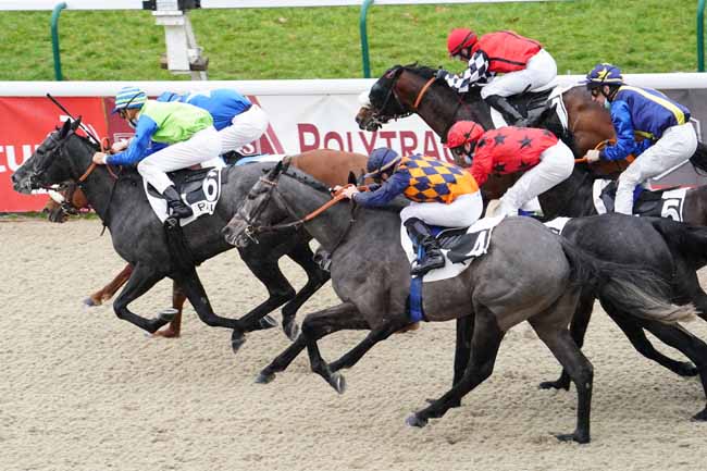 Photo d'arrivée de la course pmu PRIX DU CERCLE ANGLAIS à PAU le Vendredi 29 janvier 2021