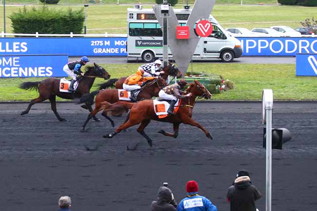 Photo d'arrivée de la course pmu PRIX DE FAVEROLLES à PARIS-VINCENNES le Lundi 1 février 2021