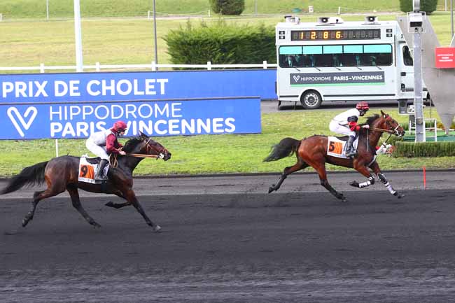 Photo d'arrivée de la course pmu PRIX DE CHOLET à PARIS-VINCENNES le Mardi 2 février 2021