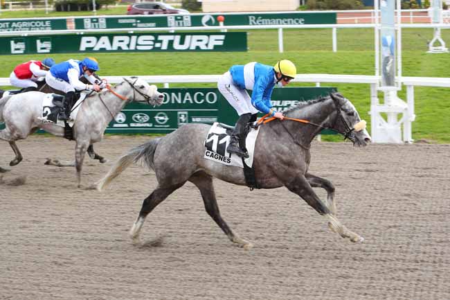 Photo d'arrivée de la course pmu PRIX RAUBA CAPEU à CAGNES-SUR-MER le Mercredi 3 février 2021