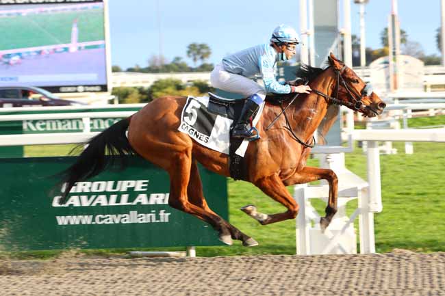 Photo d'arrivée de la course pmu PRIX DE SAN REMO à CAGNES-SUR-MER le Mercredi 3 février 2021