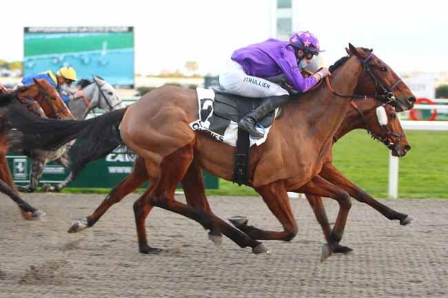 Photo d'arrivée de la course pmu PRIX DE CIMIEZ à CAGNES-SUR-MER le Mercredi 3 février 2021