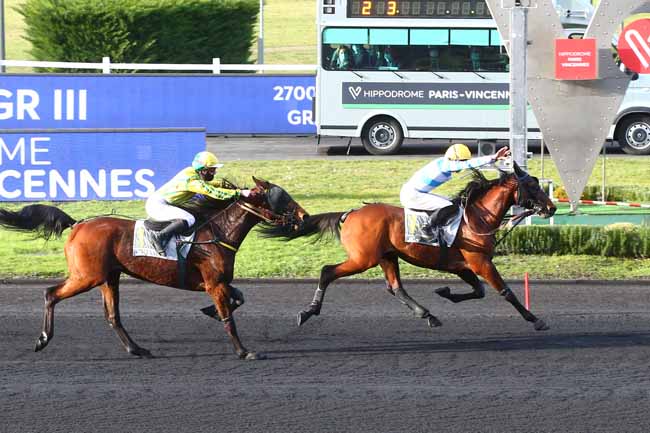 Photo d'arrivée de la course pmu PRIX DE DOZULE à PARIS-VINCENNES le Jeudi 4 février 2021