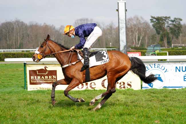 Photo d'arrivée de la course pmu PRIX ANNIE HUTTON à PAU le Vendredi 5 février 2021