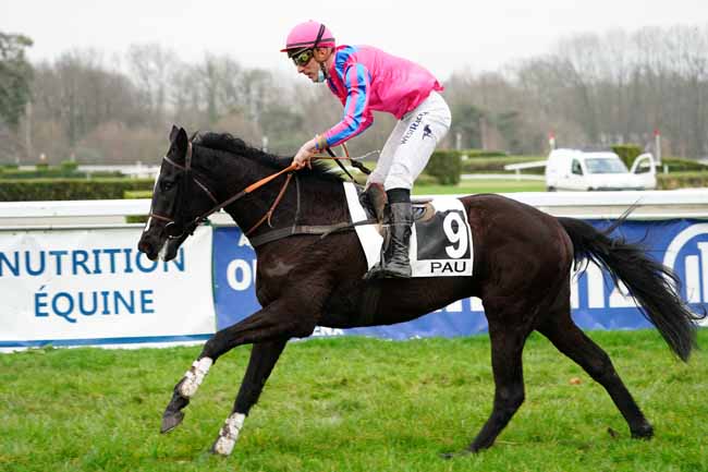 Photo d'arrivée de la course pmu PRIX ARTHUR D'ESTE à PAU le Vendredi 5 février 2021