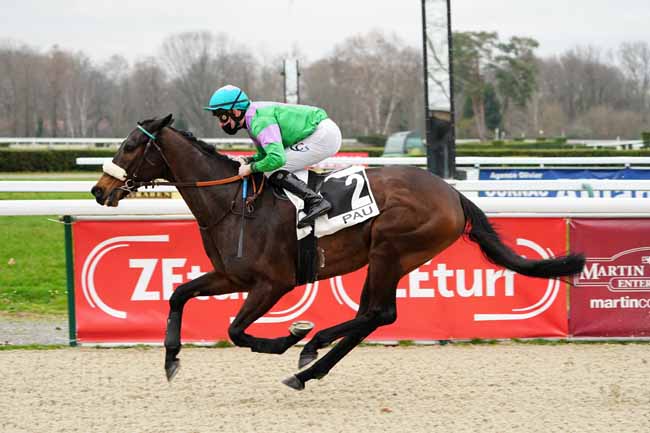 Photo d'arrivée de la course pmu PRIX D'UZEIN à PAU le Vendredi 5 février 2021