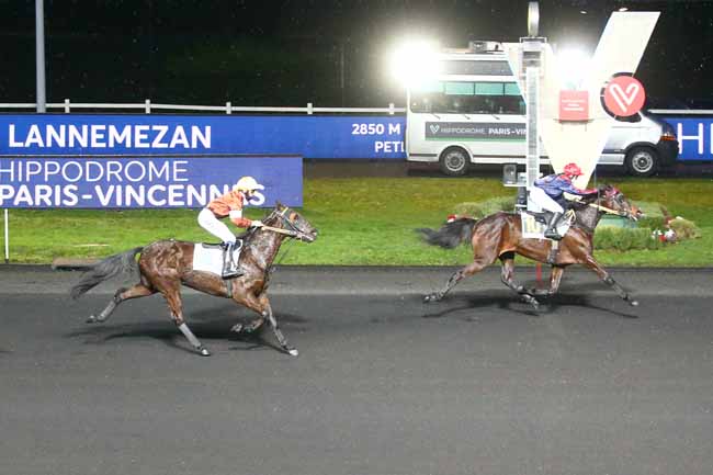 Photo d'arrivée de la course pmu PRIX DE LANNEMEZAN à PARIS-VINCENNES le Dimanche 7 février 2021
