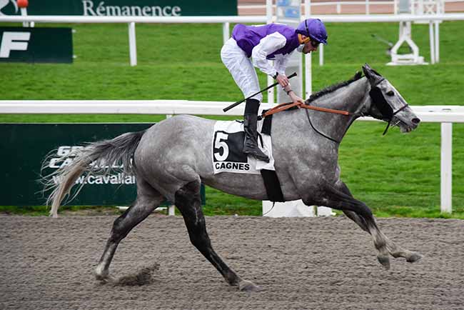 Photo d'arrivée de la course pmu PRIX DE LA SAUGE POURPREE à CAGNES-SUR-MER le Vendredi 12 février 2021