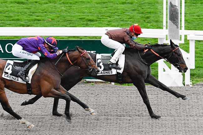 Photo d'arrivée de la course pmu PRIX DE MILAN à CAGNES-SUR-MER le Vendredi 12 février 2021