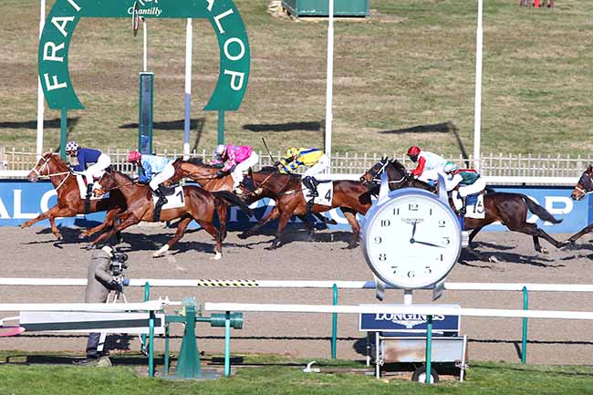 Photo d'arrivée de la course pmu PRIX DE LA ROUTE DES GENETS à CHANTILLY le Samedi 13 février 2021