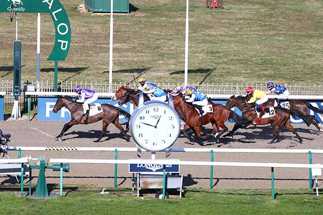 Photo d'arrivée de la course pmu PRIX DE PRESLES à CHANTILLY le Samedi 13 février 2021