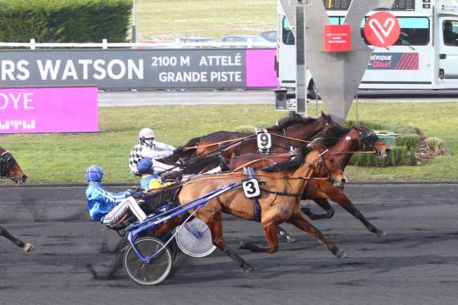 Photo d'arrivée de la course pmu PRIX GRAS SAVOYE WILLIS TOWERS WATSON à PARIS-VINCENNES le Dimanche 14 février 2021