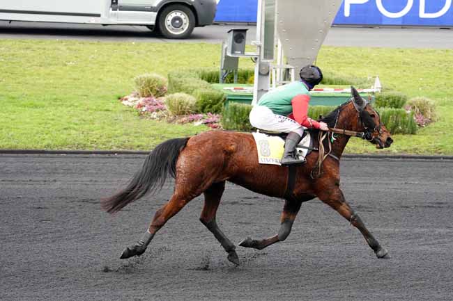 Photo d'arrivée de la course pmu PRIX DECIDEE à PARIS-VINCENNES le Mardi 16 février 2021