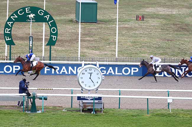 Photo d'arrivée de la course pmu PRIX DU CASTEL à CHANTILLY le Mardi 16 février 2021