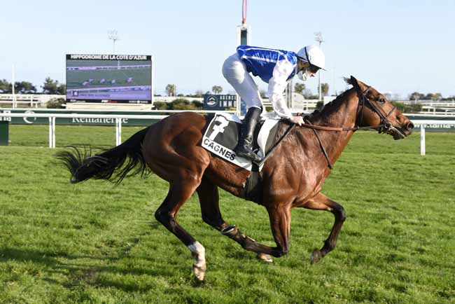 Photo d'arrivée de la course pmu PRIX DES GLYCINES à CAGNES-SUR-MER le Mercredi 17 février 2021