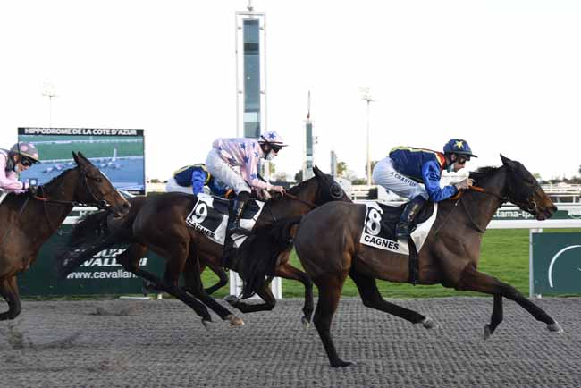Photo d'arrivée de la course pmu PRIX DE DIEPPE à CAGNES-SUR-MER le Mercredi 17 février 2021