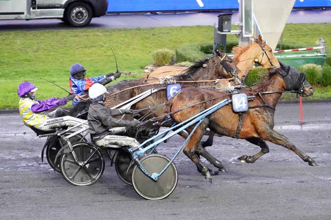 Photo d'arrivée de la course pmu PRIX DE BRIEY à PARIS-VINCENNES le Jeudi 18 février 2021