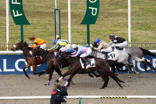 Photo d'arrivée de la course pmu PRIX DU CHEMIN DE PARIS à CHANTILLY le Vendredi 19 février 2021