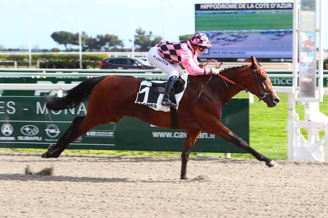 Photo d'arrivée de la course pmu PRIX DES MAURES à CAGNES-SUR-MER le Samedi 20 février 2021