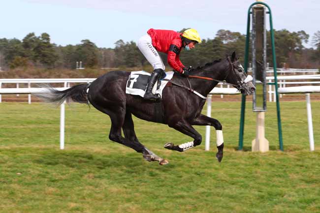 Photo d'arrivée de la course pmu PRIX DE LA SOCIETE DES COURSES DE PAU à FONTAINEBLEAU le Mardi 23 février 2021