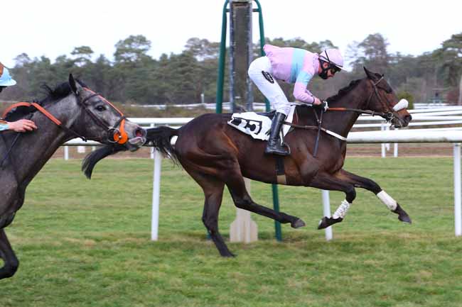 Photo d'arrivée de la course pmu PRIX DE LA SOCIETE DES COURSES DE CRAON à FONTAINEBLEAU le Mardi 23 février 2021