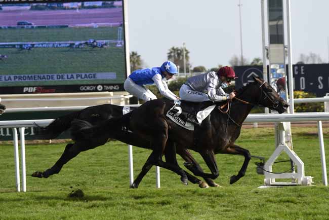 Photo d'arrivée de la course pmu PRIX DE LA PROMENADE DE LA PLAGE à CAGNES-SUR-MER le Mercredi 24 février 2021