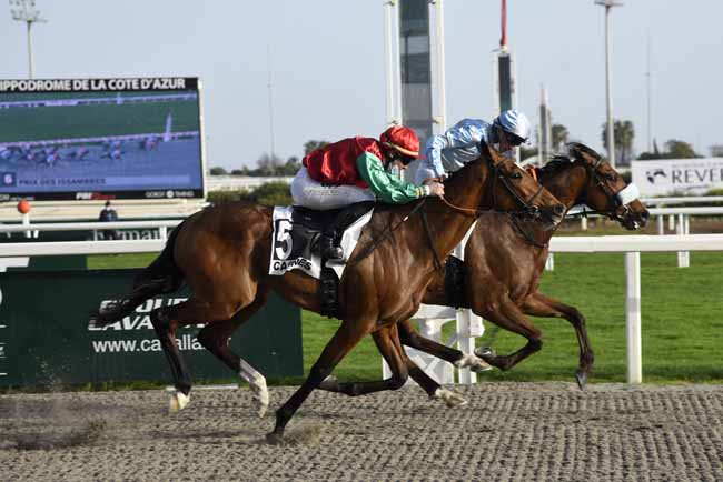 Photo d'arrivée de la course pmu PRIX DES ISSAMBRES à CAGNES-SUR-MER le Mercredi 24 février 2021