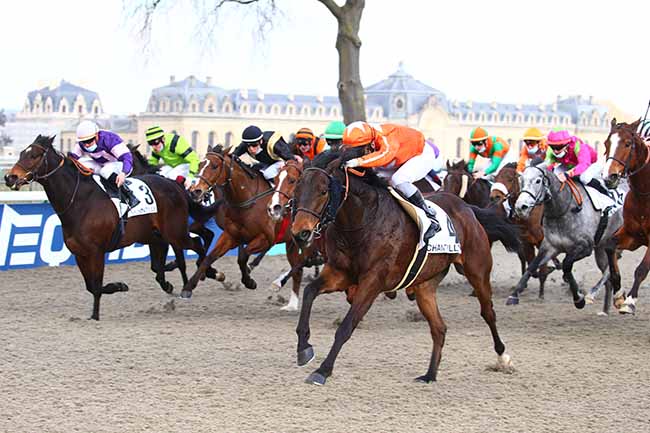 Photo d'arrivée de la course pmu PRIX DE LA ROUTE DU MILIEU à CHANTILLY le Vendredi 26 février 2021