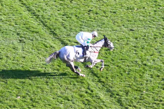 Photo d'arrivée de la course pmu PRIX MARISE à AUTEUIL le Lundi 1 mars 2021