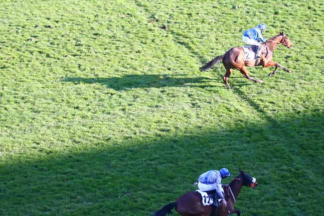 Photo d'arrivée de la course pmu PRIX BRIGHT ZAGREUS à AUTEUIL le Lundi 1 mars 2021