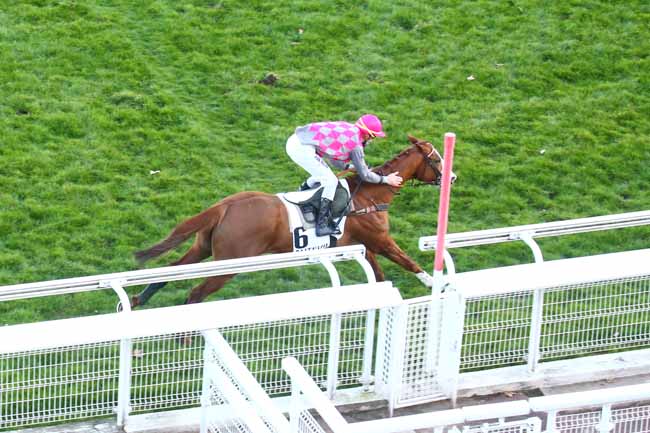 Photo d'arrivée de la course pmu PRIX BOUGIE à AUTEUIL le Lundi 1 mars 2021