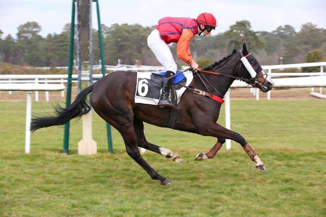 Photo d'arrivée de la course pmu PRIX DE BOULIGNY à FONTAINEBLEAU le Jeudi 4 mars 2021