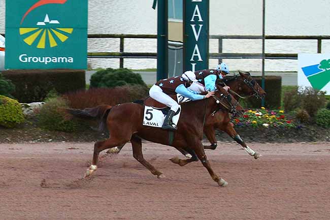 Photo d'arrivée de la course pmu PRIX LE LOIR à LAVAL le Vendredi 5 mars 2021