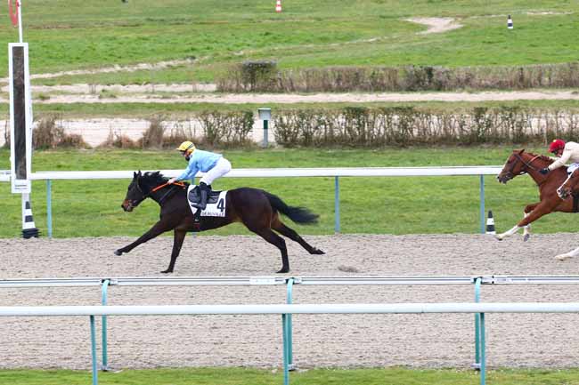 Photo d'arrivée de la course pmu PRIX DU PERCHE à DEAUVILLE le Vendredi 5 mars 2021